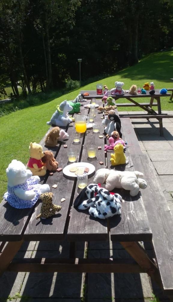 Teddy Bears Picnic