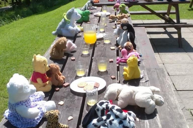 Teddy Bears Picnic